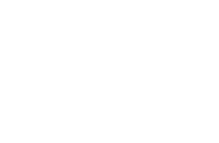 Business Excellence