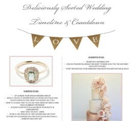 2017-DS-Wedding-Timeline-Countdown-2-1024x939.jpg