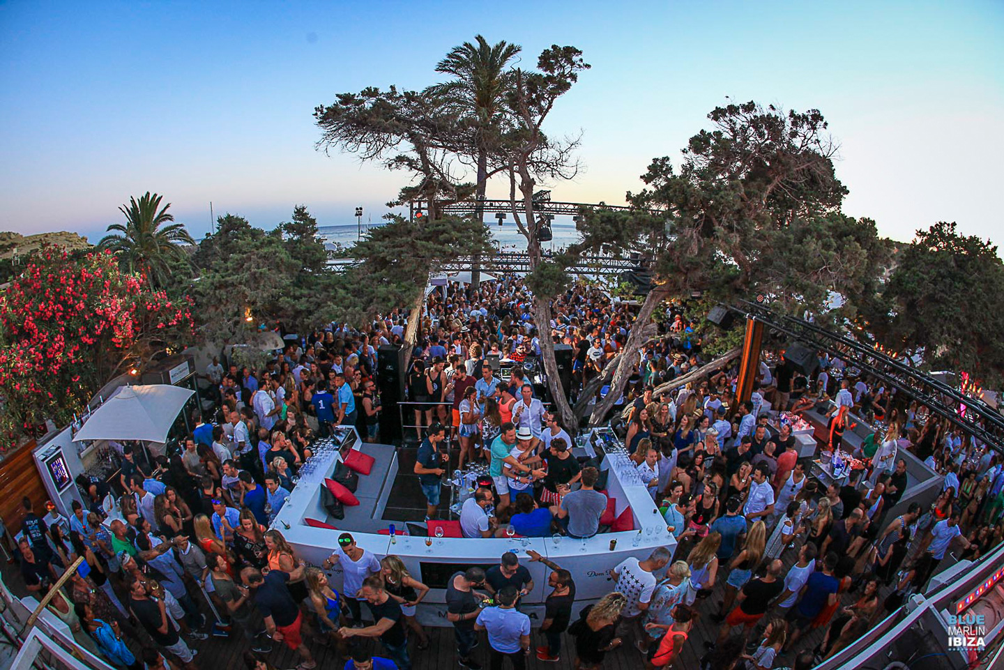 Blue Marlin Beach Club